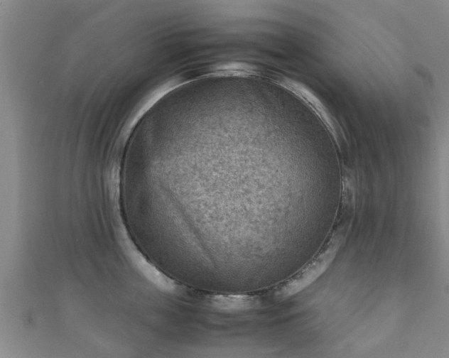 X0000111350859200907171141