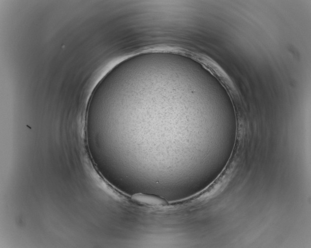 X0000111350860200907171141