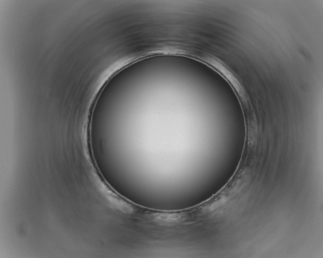 X0000111350861200907171141