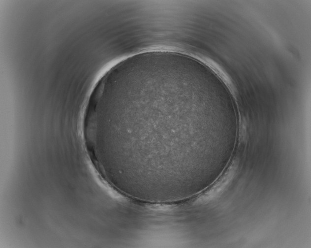 X0000111350862200907171141