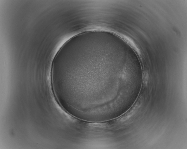 X0000111350863200907171141