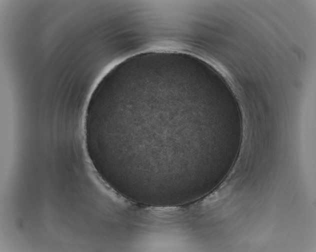 X0000111350864200907171141