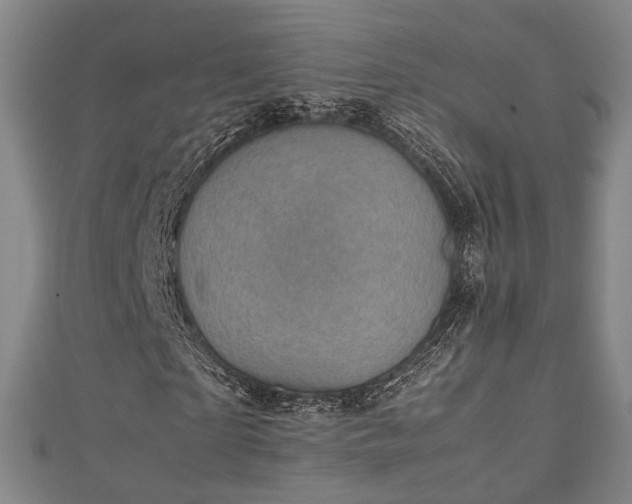 X0000111350865200907171141