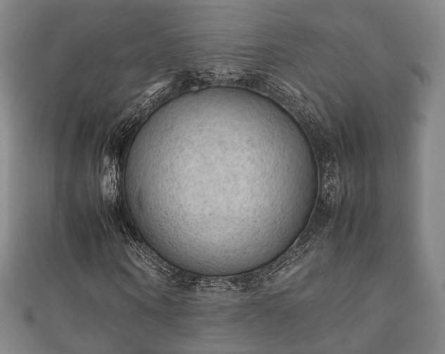 X0000111350866200907171141