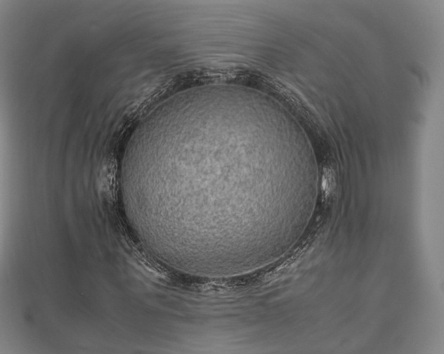 X0000111350867200907171141