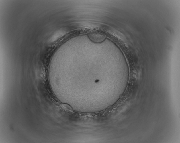 X0000111350869200907171141