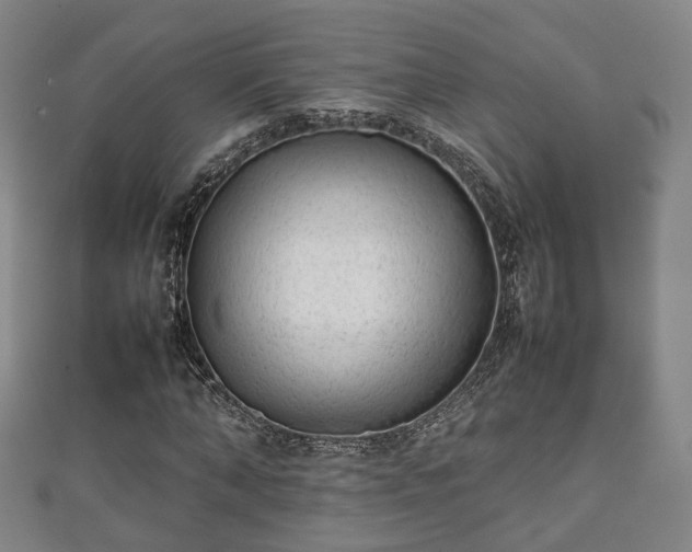 X0000111350870200907171141