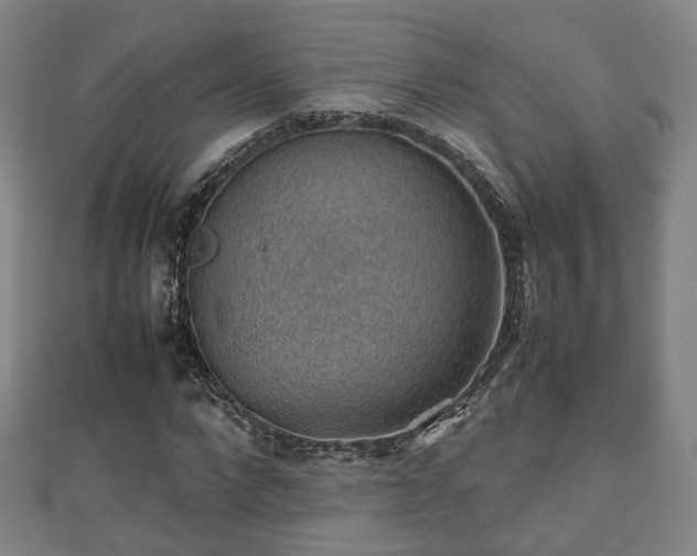 X0000111350872200907171141