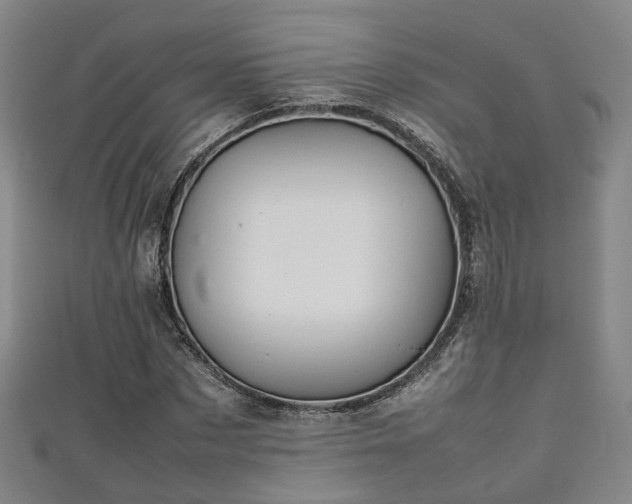 X0000111350873200907171141