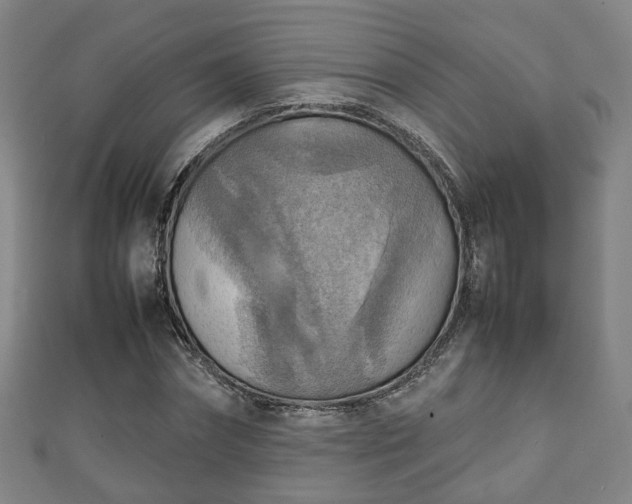 X0000111350874200907171141