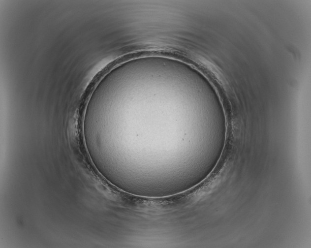 X0000111350875200907171141