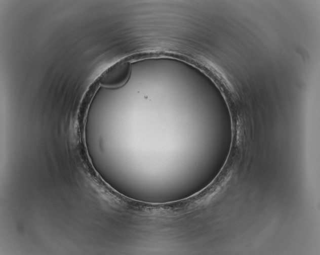 X0000111350876200907171141