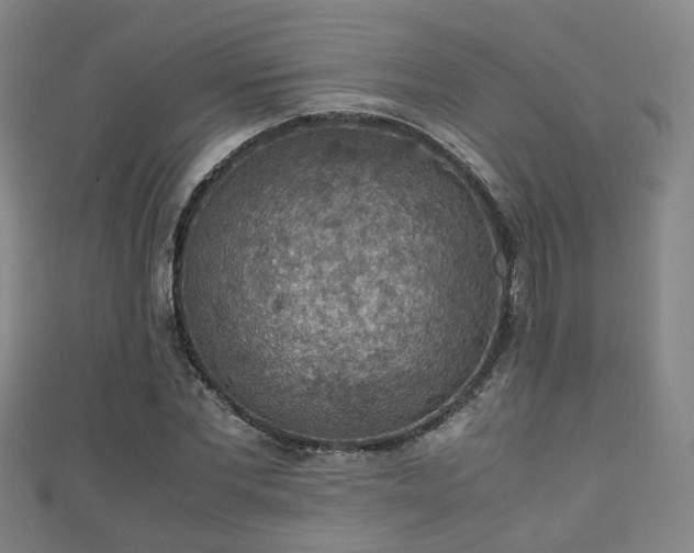 X0000111350877200907171141