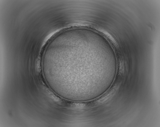 X0000111350878200907171141