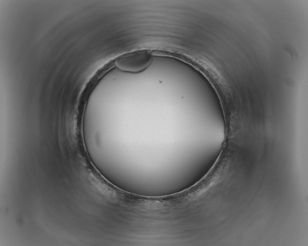 X0000111350880200907171140