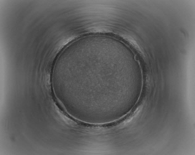 X0000111350881200907171140