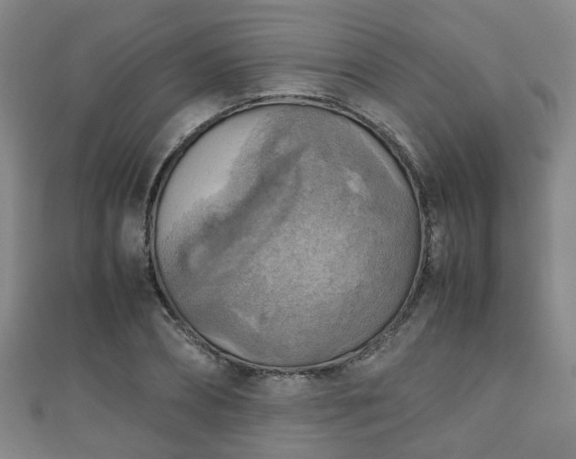 X0000111350882200907171140