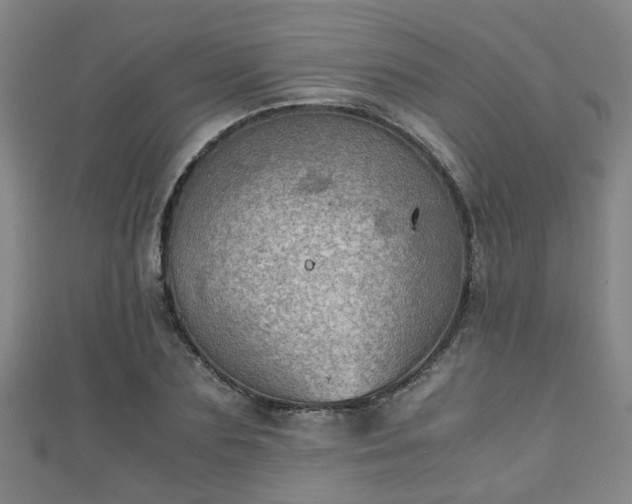 X0000111350883200907171140