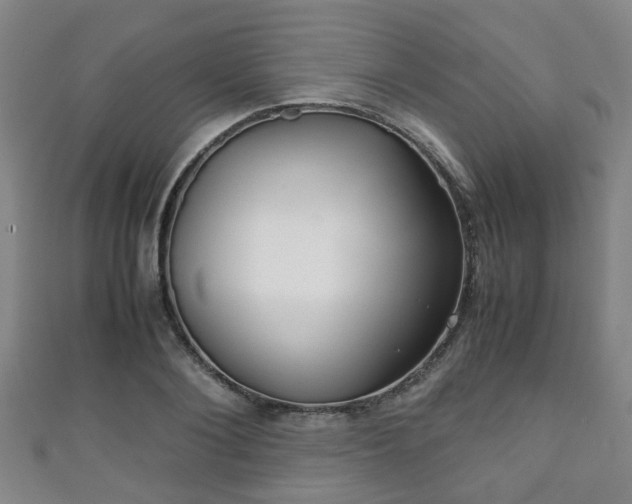 X0000111350884200907171140