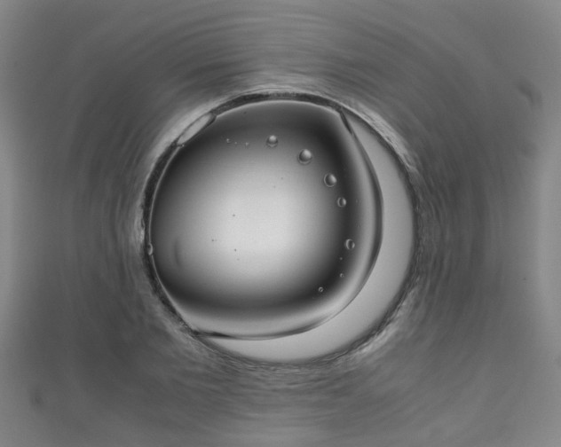 X0000111350885200907171140