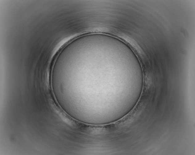 X0000111350886200907171140