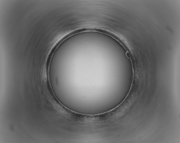 X0000111350887200907171140