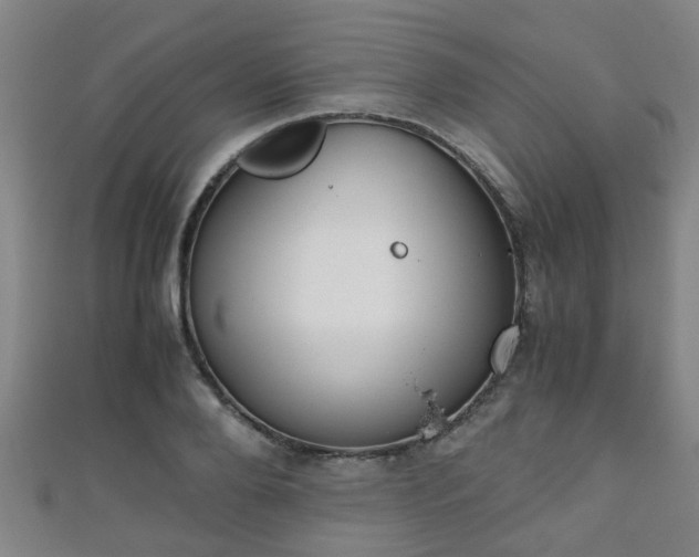 X0000111350888200907171140