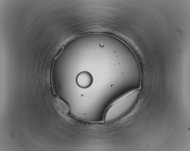 X0000111350889200907171140