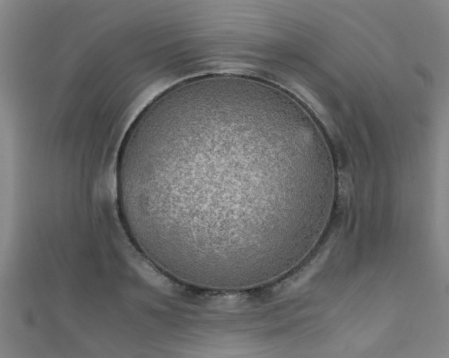 X0000111350891200907171140