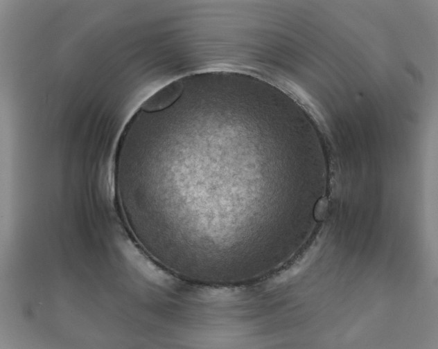 X0000111350892200907171140