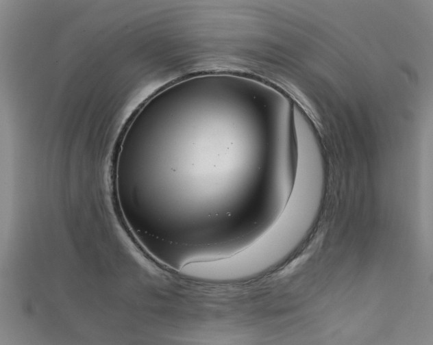 X0000111350893200907171140