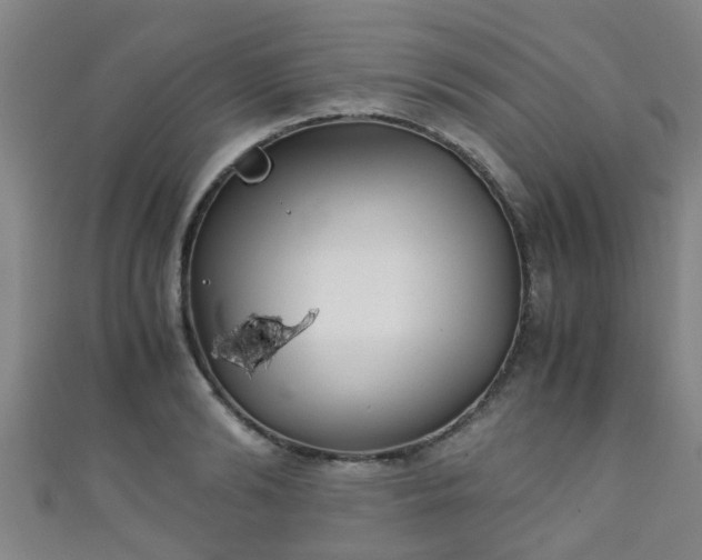 X0000111350894200907171140