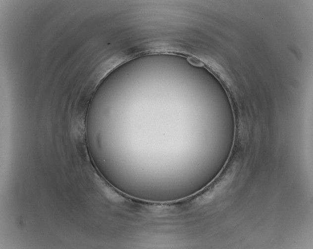 X0000111350897200907171140