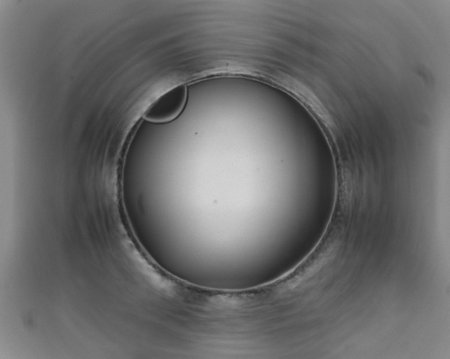 X0000111350898200907171140