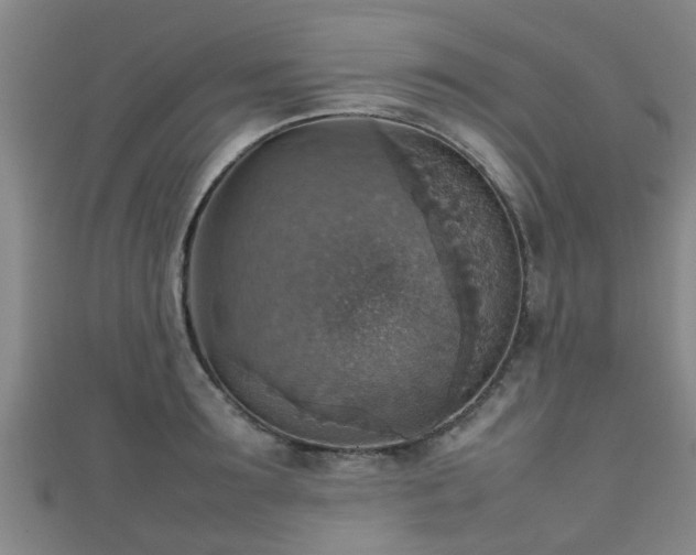 X0000111350899200907171140