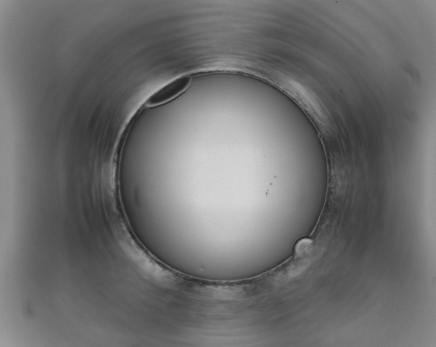 X0000111350900200907171140