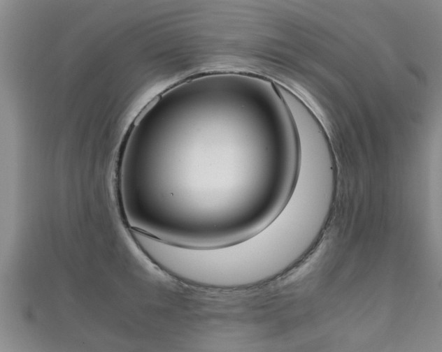 X0000111350901200907171140