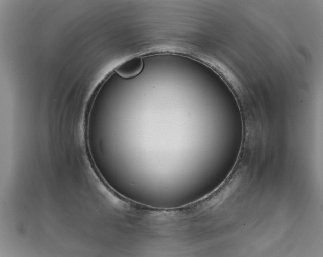 X0000111350902200907171140