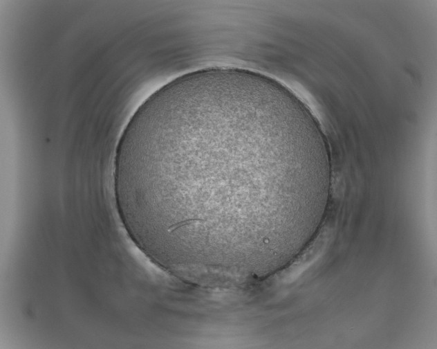 X0000111350903200907171140