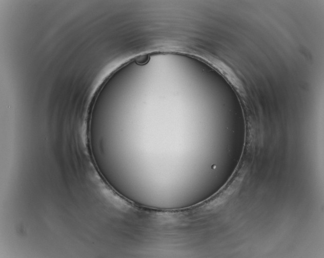 X0000111350904200907171140