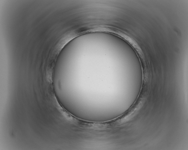 X0000111350905200907171140