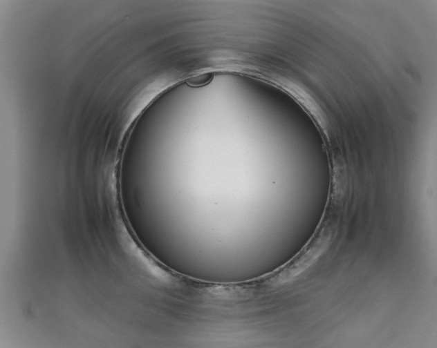 X0000111350906200907171140