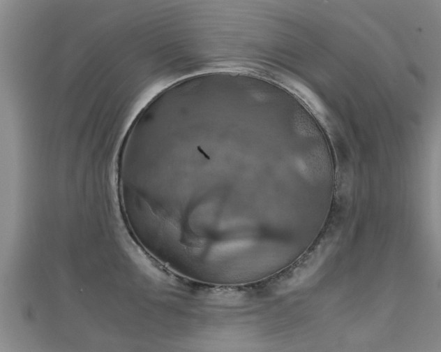 X0000111350907200907171140