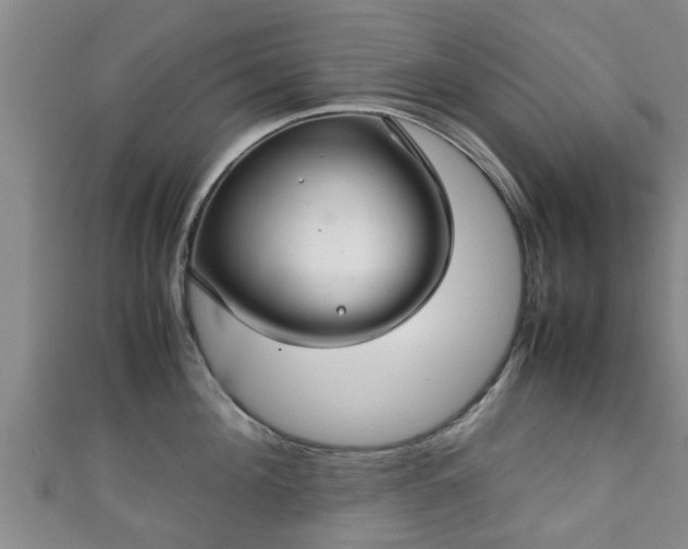 X0000111350908200907171140