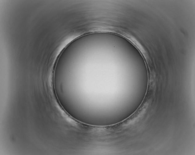 X0000111350909200907171140