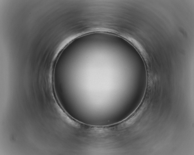 X0000111350910200907171140