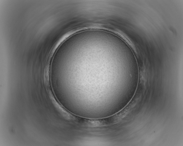 X0000111350911200907171140