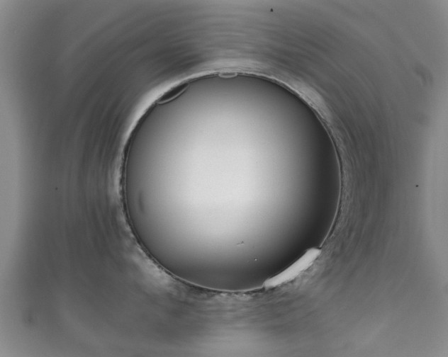 X0000111350912200907171140