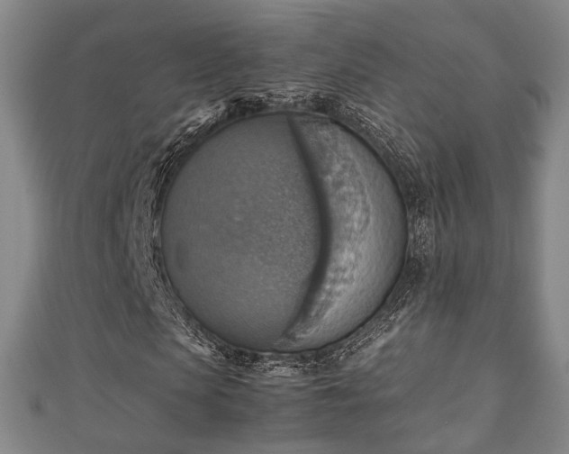 X0000111350913200907171139