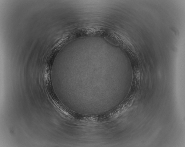 X0000111350914200907171139